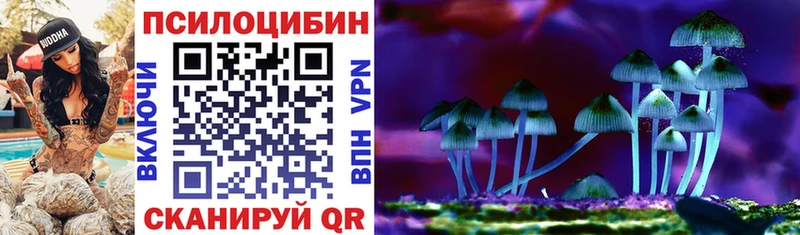 Галлюциногенные грибы Psilocybine cubensis  Купить закладки  Куртамыш 